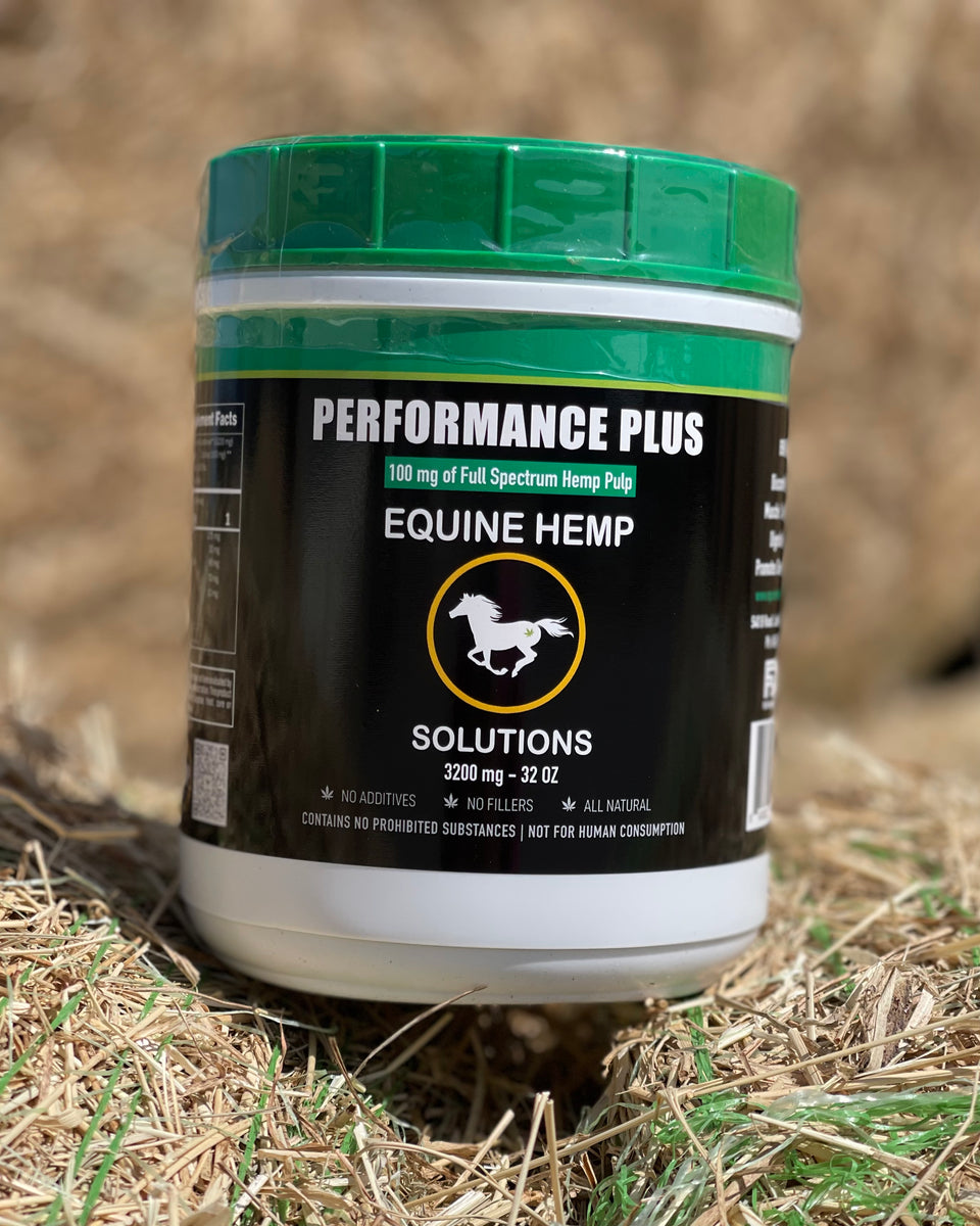 Equine Hemp Solutions Performance Plus 3200mg Pellets- 2lb