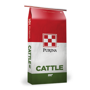 Purina Cattle Developer 14%