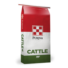 Load image into Gallery viewer, Purina Ranch Hand 20% Cattle Cubes
