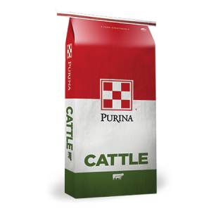 Purina Ranch Hand 20% Cattle Cubes