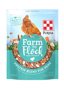 Farm To Flock Protein Blend for Hens