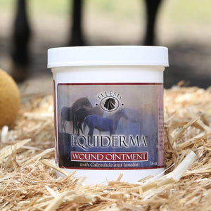 Equiderma Wound Ointment