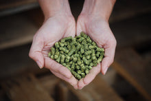 Load image into Gallery viewer, Seminole Alfalfa Pellets 50lb Large Pellet
