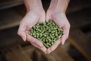 Seminole Alfalfa Pellets 50lb Large Pellet