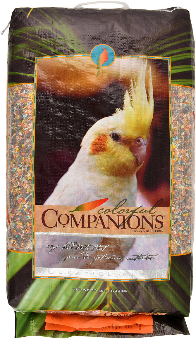 Colorful Companions Cockatiel