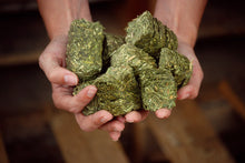 Load image into Gallery viewer, Summit Alfalfa Cubes 50#
