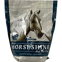 Load image into Gallery viewer, Omega Fields Horse Shine

