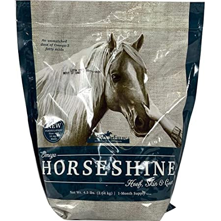 Omega Fields Horse Shine