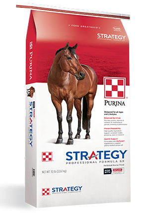Purina Strategy Professional GX