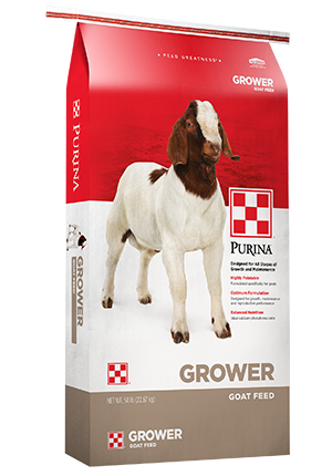 Purina Goat Grower Pellet 16 DQ