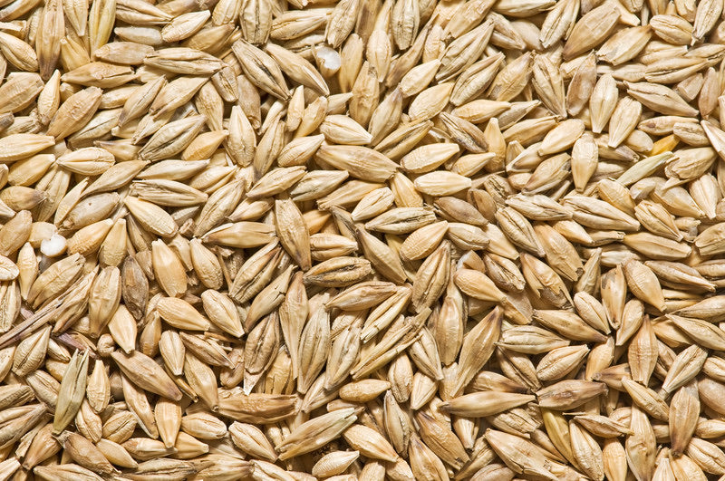 Central States Wheat