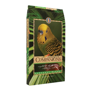Colorful Companions Parakeet
