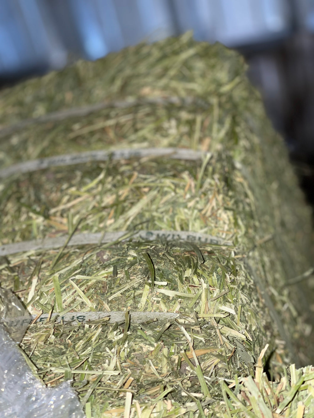 Compressed Alfalfa 62lb