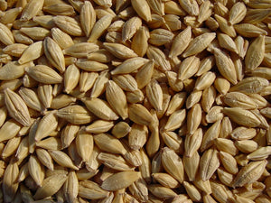 Central States Whole Barley
