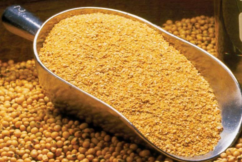 Central States Soybean Meal