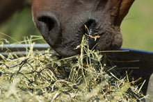 Load image into Gallery viewer, Hay Chix 2 String Bale Net Slow Feed 1 1/4”
