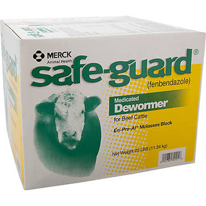 Safeguard Block