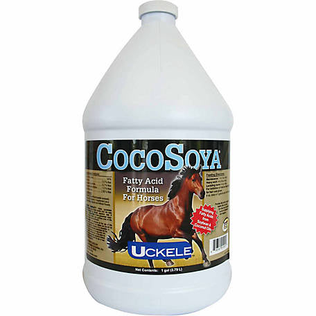 CocoSoya Gallon