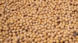 Central States Whole Soybeans