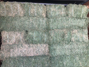 3 Tie Alfalfa 100#