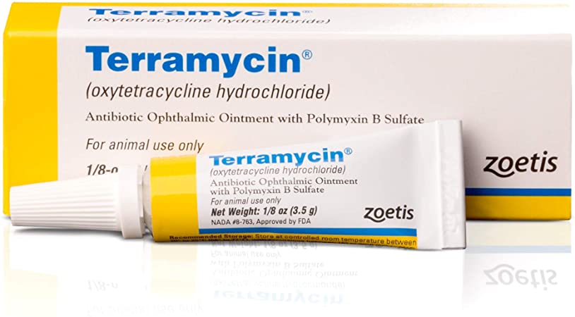 Terramycin Eye Ointment