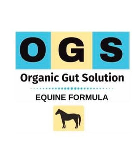 OGS Equine