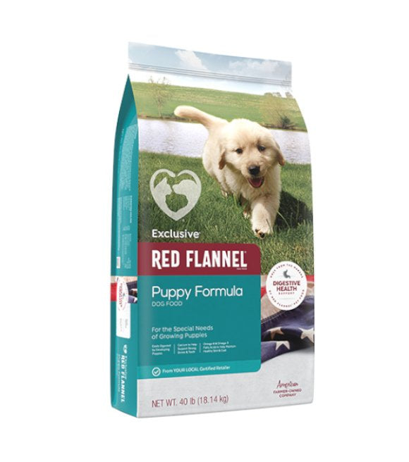 Red Flannel Puppy
