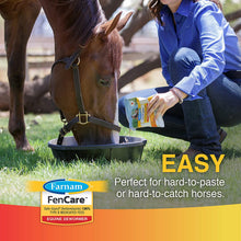 Load image into Gallery viewer, Fencare Dewormer
