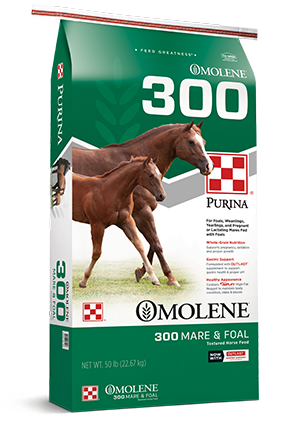 Purina Omolene 300 Mare & Foal