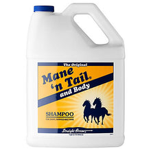 Load image into Gallery viewer, Mane &amp; Tail
