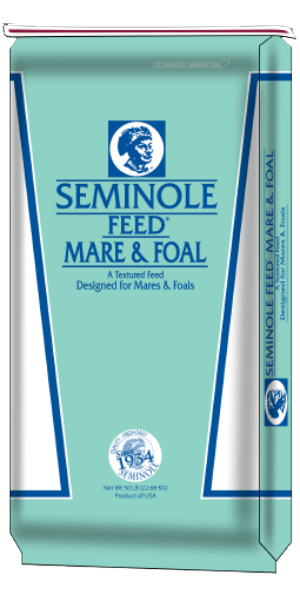 Seminole Mare & Foal