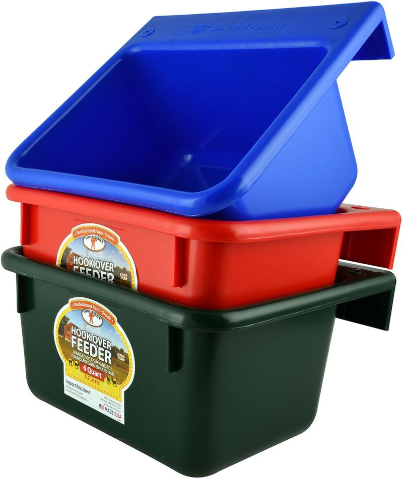 6qt Mini Feeder (Assorted)