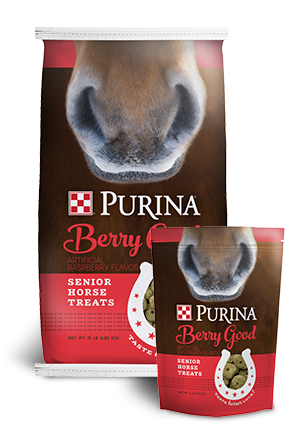 Purina Berry GoodTreats