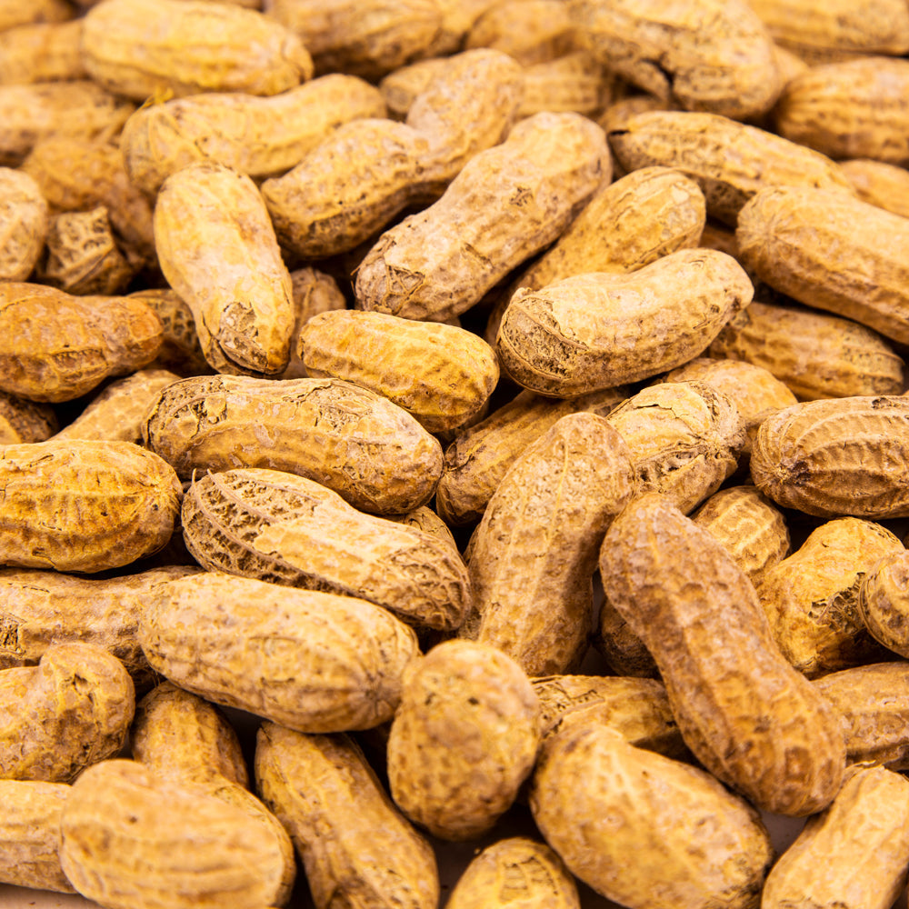 Raw In Shell Peanuts 25lb