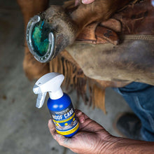 Load image into Gallery viewer, Vetericyn Mobility Hoof Care
