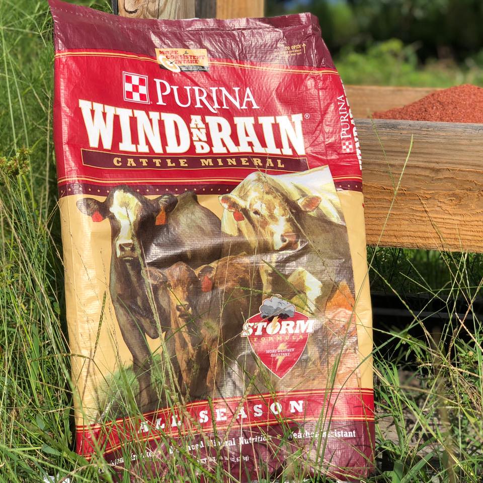 Wind & Rain All Season Mineral